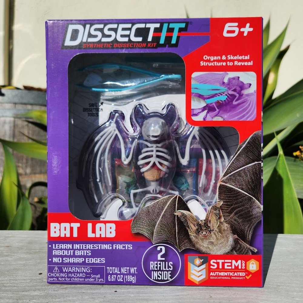 NEW Dissect-it Synthetic Lab Dissection Toy STEM KIT CRAFT Project Bat Biology